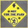 Not for the Play (feat. Ray Rizzo) [Explicit]