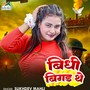 Bidhi Bigar The