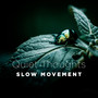 Slow Movement