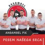 Pesem Našega Srca