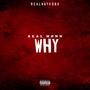 Why (Explicit)