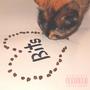 Bits (Explicit)