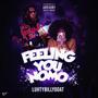 Feeling You Nomo (feat. LuhTyBillyGoat) [Explicit]