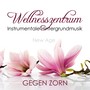 Wellnesszentrum - Instrumentale Hintergrundmusik gegen Zorn, Innere Ruhe und Frieden finden