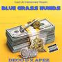 BLUE GRASS HUNIDS (feat. APEZ) [Explicit]