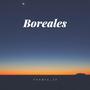 BoreAles