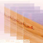 SLOPES
