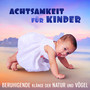 Achtsamkeit für Kinder: Beruhigende Klänge der Natur und Vögel, Entspannende Meereswellen und weich instrumentalen Hintergrund für Meditation und Yoga-Baby