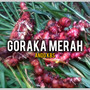 Goraka Merah