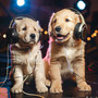 Calm Canine: Music for Dogs