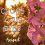 Close Your Eyes