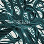 Trei(z)h