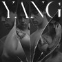 Yang (Explicit)