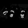 Foxes (1 up) [Explicit]