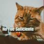 No fue suficiente