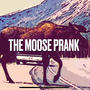 The Moose Prank