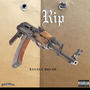 RIP (Explicit)