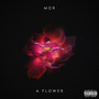 A Flower (Explicit)