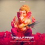 Concept of Ganesh (Solar Walker & Espectral Remix)