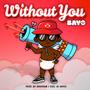 Without You (feat. DJ Hayes)