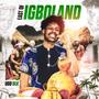 EAST OF IGBOLAND (Radio Edit) [Explicit]