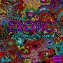 Exotic (feat. Career the Brain) [Explicit]