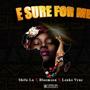 E Sure for Me (feat. Shifu Lu & Bluemoon)