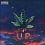 UP (Explicit)