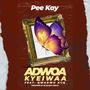 Adwoa Kyeiwaa (feat. Qwadwo Acq)