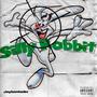 Silly Rabbit (Explicit)