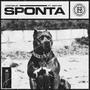 Sponta (feat. Disturb) [Explicit]