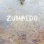 Zumbido