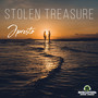 Stolen Treasure (Explicit)