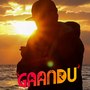 Gaandu (Acoustic)