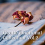 Gentle Emotional Collection, Vol.2