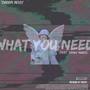 What You Need (feat. Sandy Murk)