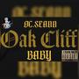 Oak Cliff Baby (Explicit)