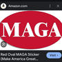 MAGA (Explicit)