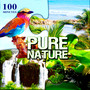 100 Minutes Pure Nature – Relax in Exotic Paradise with Bubbling Brook, Ocean Waves, Birds, Crickets, Frog, Waterfalls, Rain, Wind