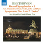 Beethoven, L. Van: Grand Symphonies Vol. 1 -Symphonies Nos. 1 and 3 (Arr. J.N. Hummel for Flute and Piano Trio) [Grodd, Gould Piano Trio]