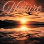 Nature Sounds for Deep Sleep