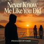 Never Know Me Like You Did (feat. Rico X)