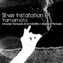 Silver Installation EP