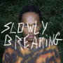 Slowly Breaking (Explicit)
