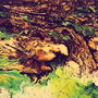 Tree Fall (Explicit)