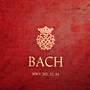 J. S. Bach Cantatas: BWV 202, 32, 84