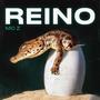 Reino