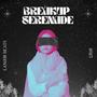 Breakup Serenade (feat. Shantelle) [Special Version] [Explicit]