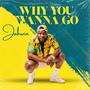 Why You Wanna Go (Explicit)