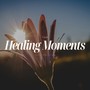 The Healing Moments